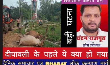 कलेक्टर परिसर दुर्ग मे बड़ी दुर्घटना / बड़ा सवाल किसने किया / क्यूँ किया / हिंदू संगठन विरोध में आया दीपावली के पहले ये क्या हो गया करंट लगने से मौत गौ माता की निर्मम मृत्यु  बेजान पशुओं पर अत्याचार का बडा मामला छत्तीसगढ़ बजरंग दल प्रदेश उपाध्यक्ष चंदन राजपुत संगठन